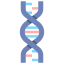 Dna 