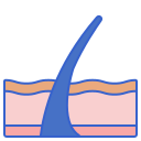 epidermis 