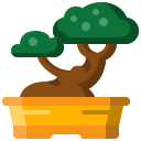 bonsai 