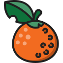 naranja icon