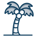 Árbol de coco icon