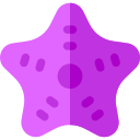 estrella de mar icon