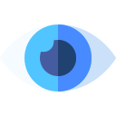 ojo icon