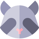 mapache icon