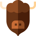 bisonte icon