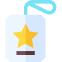 vip icon