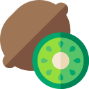 kiwi icon