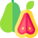 guayaba icon