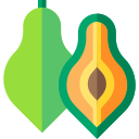 papaya icon