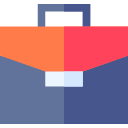 portafolio icon