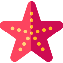 estrella de mar 