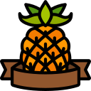 piña icon