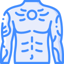 torso 