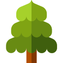 Árbol icon