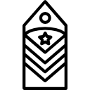 insignia icon