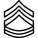 insignia icon