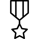medalla icon