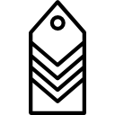 insignia icon