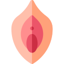 vagina icon