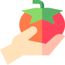 tomate icon