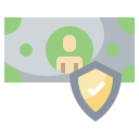 seguridad icon