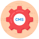 sistema cms icon