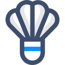 volante icon