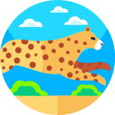 leopardo 