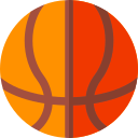 pelota de baloncesto icon