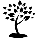 albero con molte foglie icona