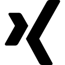 logotipo de xing 