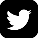 Twitter sign icon