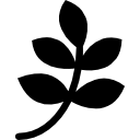 Branch with leaves black shape icon