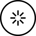 kiwi icon
