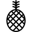 ananas icon