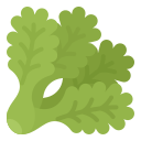 lechuga icon