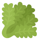 lechuga icon