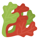 lechuga icon