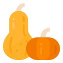 calabaza icon