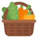 vegetales icon