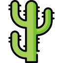 cactus icon