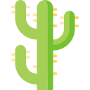 cactus icon