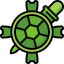 tortuga icon