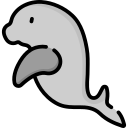 dugong 