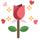 rosa icon