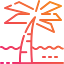 palmera icon