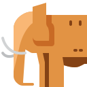 elefante