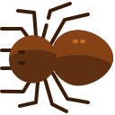 araña