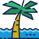 palmera icon