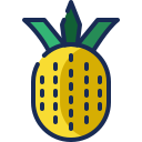 piña icon